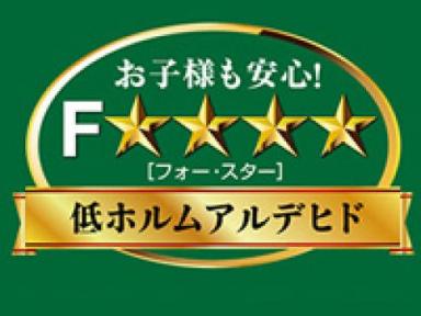 シックハウス症候群とは？｜F☆☆☆☆